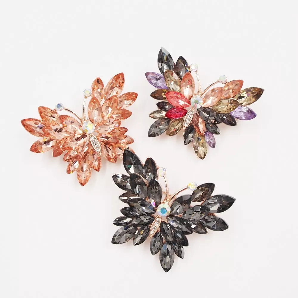 Drugelio formos sagė