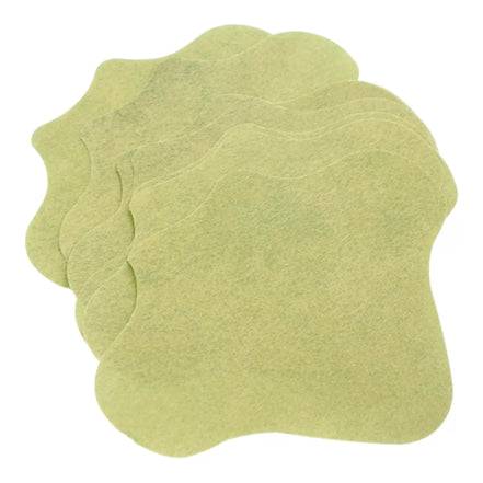 Nugaros pleistrai, 10 vnt.